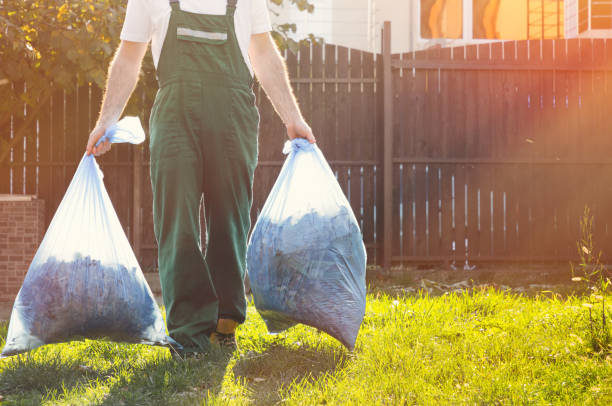 Best Dumpster Rental Services  in Dorothy, NJ